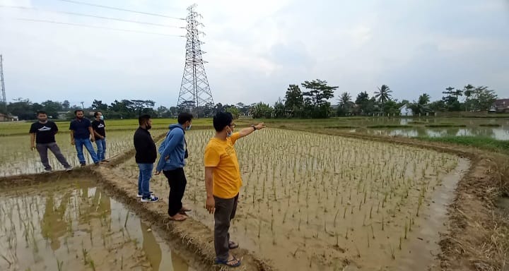 Petani Di Kampung Sentral Lebak Mengeluh, Lahan Sawah Bertahun-tahun Terendam Banjir