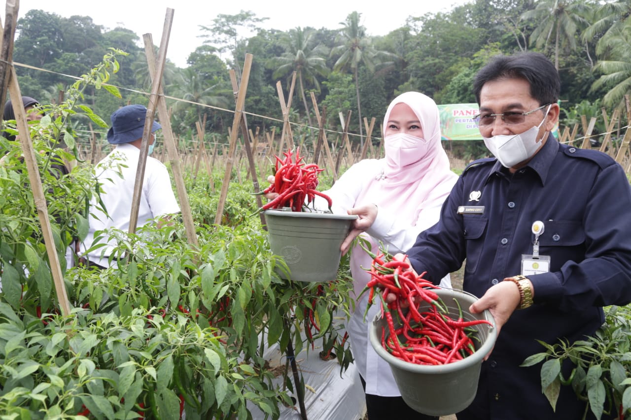 Program PK Dinilai Berhasil, Kepala BKP : Tahun Depan Akan Kami Tambah Programnya