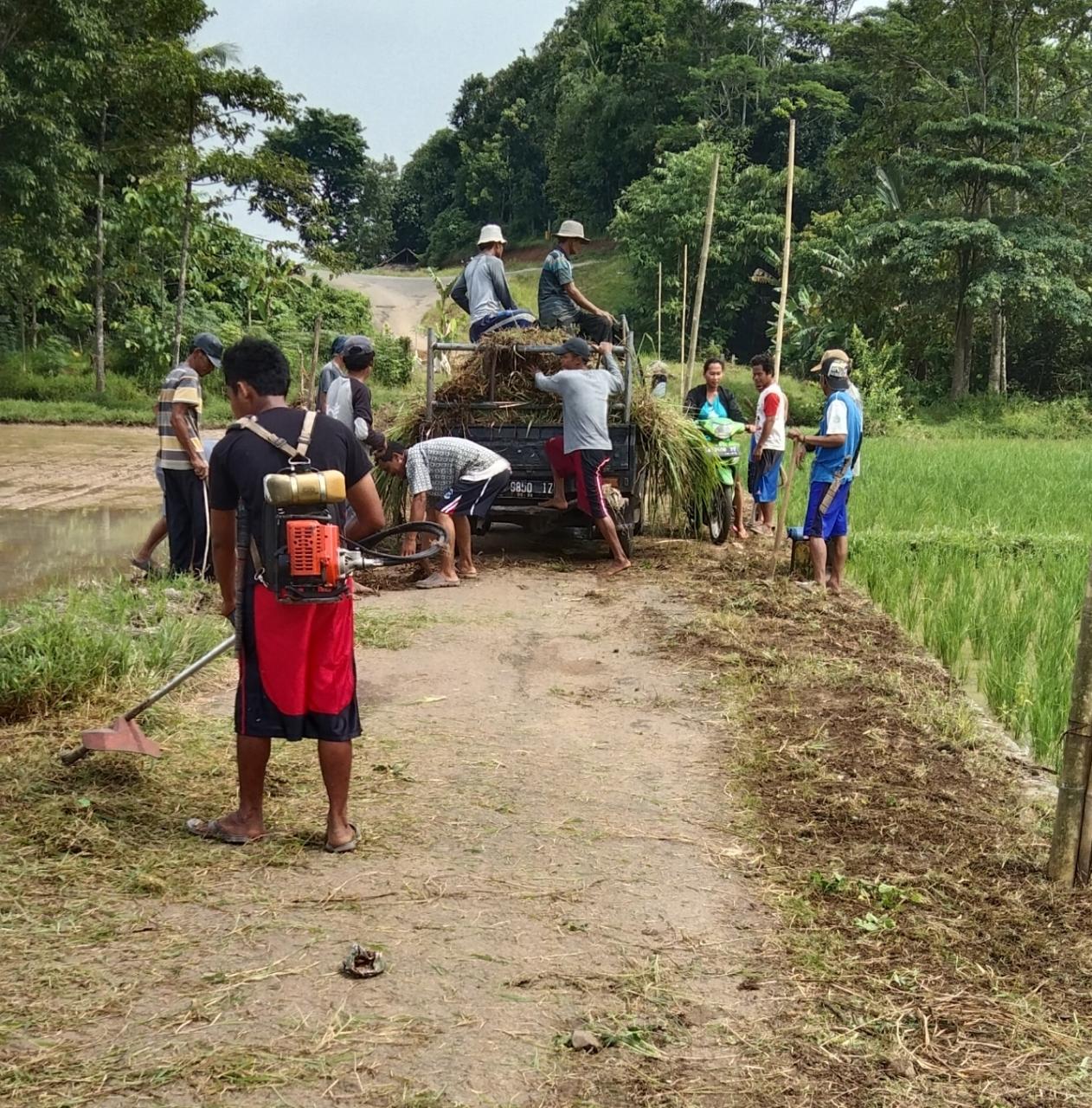 Warga Bojongcae Lebak Banten, Kompak Bersihkan Lingkungan