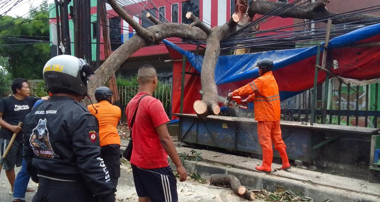 Polsek Cibinog bersama BPBD evakuasi Pohon Tumbang