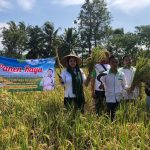Gawat, DPP HKTI Selidiki Kelangkaan Pupuk Subsidi di Cikadu Lebak